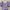 Lilac crop top photo 1