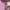 Kate spade dakota heart small crossbody photo 3