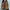 Greenlight Loafers Tassel Boots Shoes