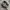 NEW BALANCE 1906L  photo 1