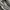 NEW BALANCE 1906L  photo 2