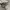 SALOMON S-LAB XT6 photo 4