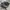 SALOMON S-LAB XT6 photo 1