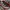 SALOMON S-LAB XT6 photo 2