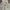 Levi's hoodie oversize second bale bekas branded photo 4