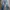 Levi's Premium quality Selvedge (PCL16B) photo 7