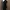 [DINNER NIGHT EDITION] Bodycon Backless Halter Neck photo 2