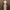[DINNER NIGHT EDITON] Bodycon Tube Backless dress photo 1
