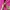 Hoodie LST towel pink backprint  photo 5