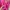 Hoodie LST towel pink backprint  photo 7