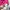 Hoodie LST towel pink backprint  photo 6