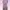 Casual Other Wanita pink photo 1