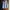 Executive Luxury Minimalist Formal Shirt Pria Multicolor