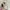 HER APPAREL LOOK ALIKE WHITE RIB photo 4