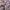 ZARA Vintage Y2K Cardigan Wanita purple photo 2