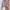 ZARA Vintage Y2K Cardigan Wanita Purple
