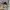 H&M Y2K Cardigan Wanita white black photo 3
