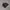 Adidas Streetwear Casual Track jacket Pria black gray photo 1