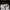 Nike Streetwear Casual Casual shoe Pria white photo 3