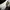 Nike Streetwear Casual Casual shoe Pria white photo 4