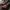 AIR JORDAN 1 LOW BRED TOE photo 5