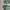 HOODIE DIME MOSSGREEN BORDIR LOGO photo 4