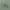 HOODIE DIME MOSSGREEN BORDIR LOGO photo 3