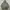 HOODIE DIME MOSSGREEN BORDIR LOGO photo 1