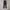 Adidas Streetwear Casual Tracksuit Pria white black photo 1