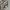 Multi-Stripped Short  Sleeve Polo Shirt photo 4