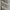 Multi-Stripped Short  Sleeve Polo Shirt photo 5