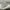 Converse high chuck taylor OG photo 4
