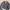 Dunlop Streetwear Vintage Harrington Jacket Pria Green Gray