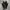CONVERSE CHUCK TAYLOR ALL STAR MONO BLACK Low FULL OX photo 2