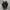 CONVERSE CHUCK TAYLOR ALL STAR MONO BLACK Low FULL OX