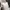 ZARA Casual Wrap dress Wanita white photo 4