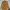 Outer By Minimal