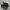 CONVERSE CHUCK TAYLOR ALL STAR MONO BLACK Low FULL OX photo 1
