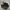 CONVERSE CHUCK TAYLOR ALL STAR MONO BLACK Low FULL OX