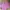 cardi crop  photo 2