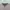 Mystic colarless cardigan sherpa free size G094   photo 2