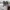 NIKE AIR JORDAN 1 LOW photo 5