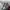 NIKE AIR JORDAN 1 LOW photo 6