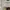 NIKE AIR JORDAN 1 LOW photo 2