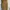 Uniqlo Minimalist Casual Crop Top Wanita Green Tan