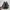 Asics Novablast 4 Standard