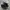 CONVERSE CHUCK TAYLOR ALL STAR MONO BLACK Low FULL OX