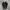 CONVERSE CHUCK TAYLOR ALL STAR MONO BLACK Low FULL OX photo 2