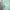 OPENYARD HOLOGRAM FLOWER HOODIE-MINT photo 6
