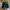 Zara Skater Jeans Pria blue photo 1